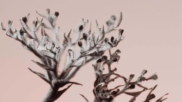 2020-01-07 09-01-02 Image description