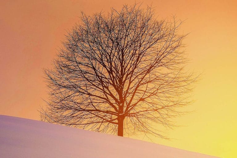 2020-01-20 09-02-27 Image description