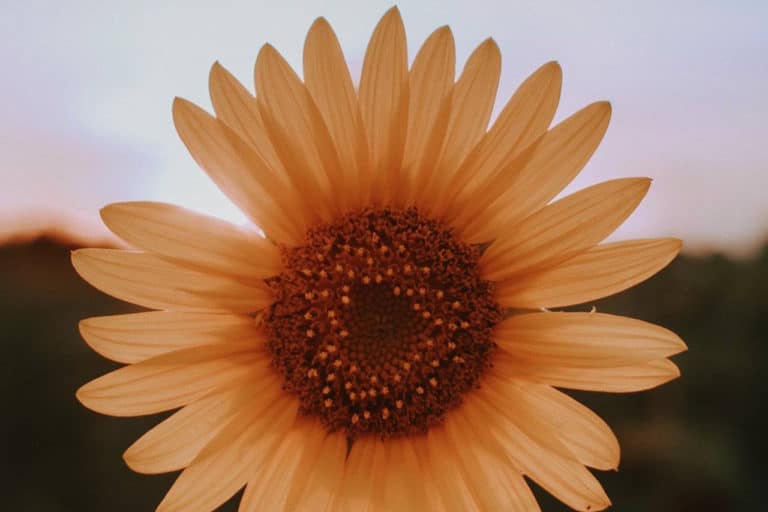 2020-04-20 10-19-28 Image description