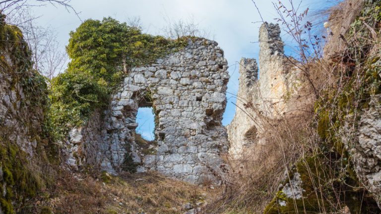 Purva Phalguni Image description