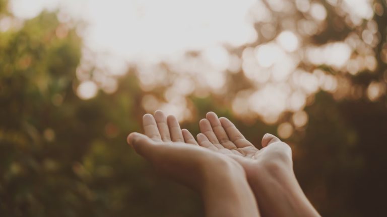 Hasta Image description