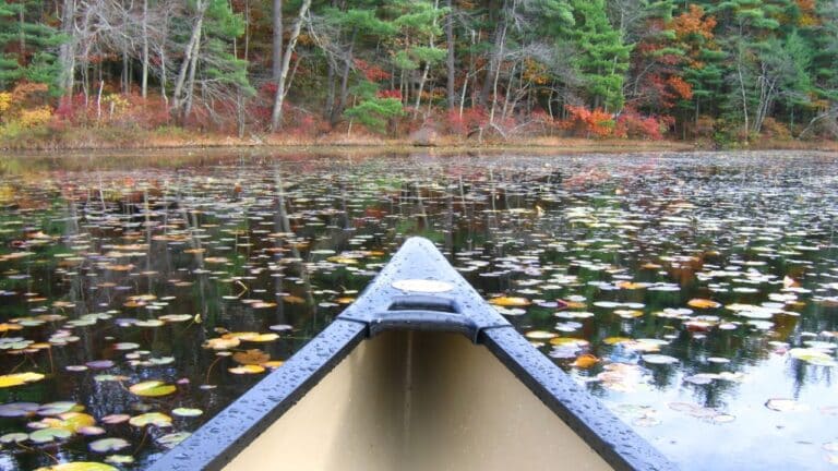 Add a subheading(2) Image description