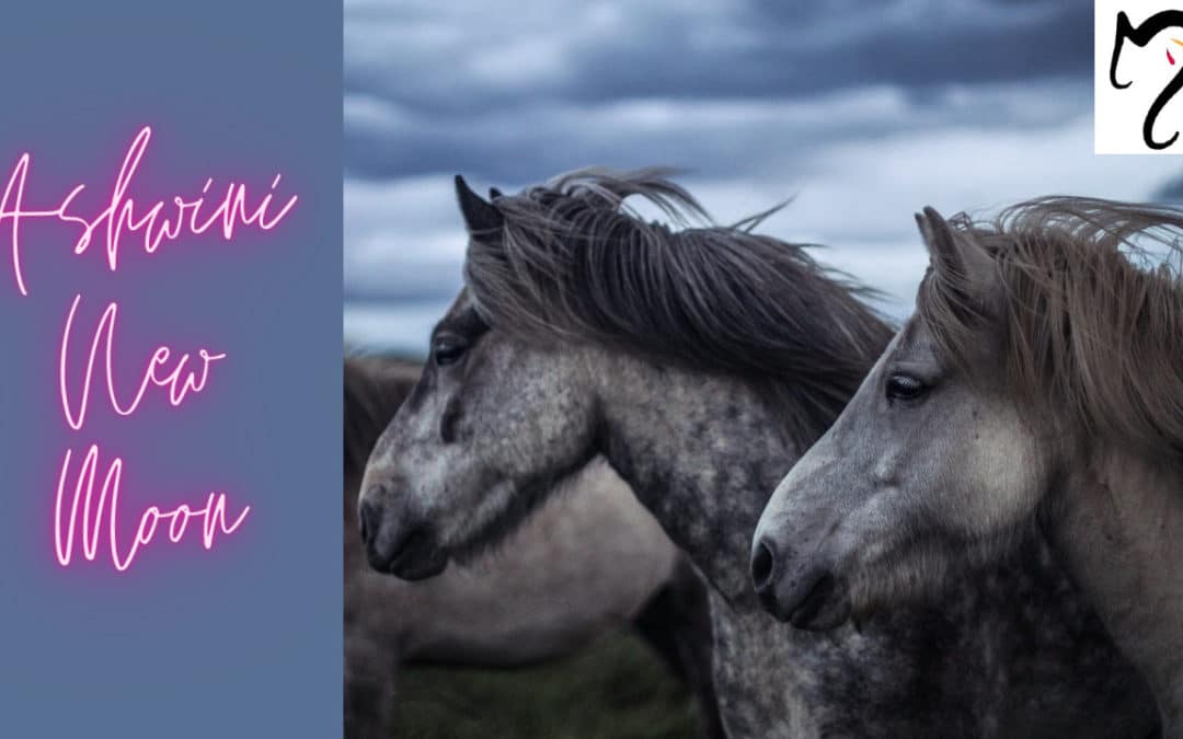 Hold Your Horses! – Ashwini New Moon 11th-12th April