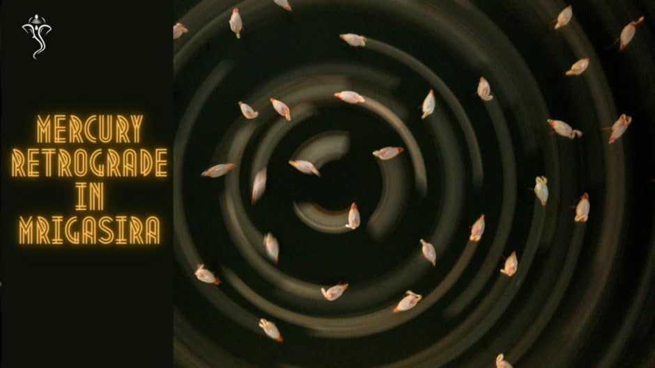 Mercury Retrograde in Mrigasira