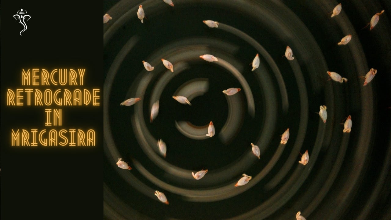 Circular Motion! - Mercury Retrograde in Mrigasira until 22nd June Mercury Retrograde in Mrigasira