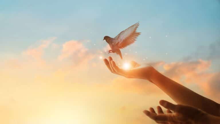 Mercury Stations Direct