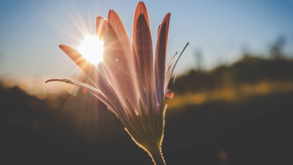 Mercury in Purva Bhadrapada