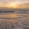 Where the Ocean Meets the Shore - Moon in Purva Ashadha September 2nd, 2025 Purva Ashadha
