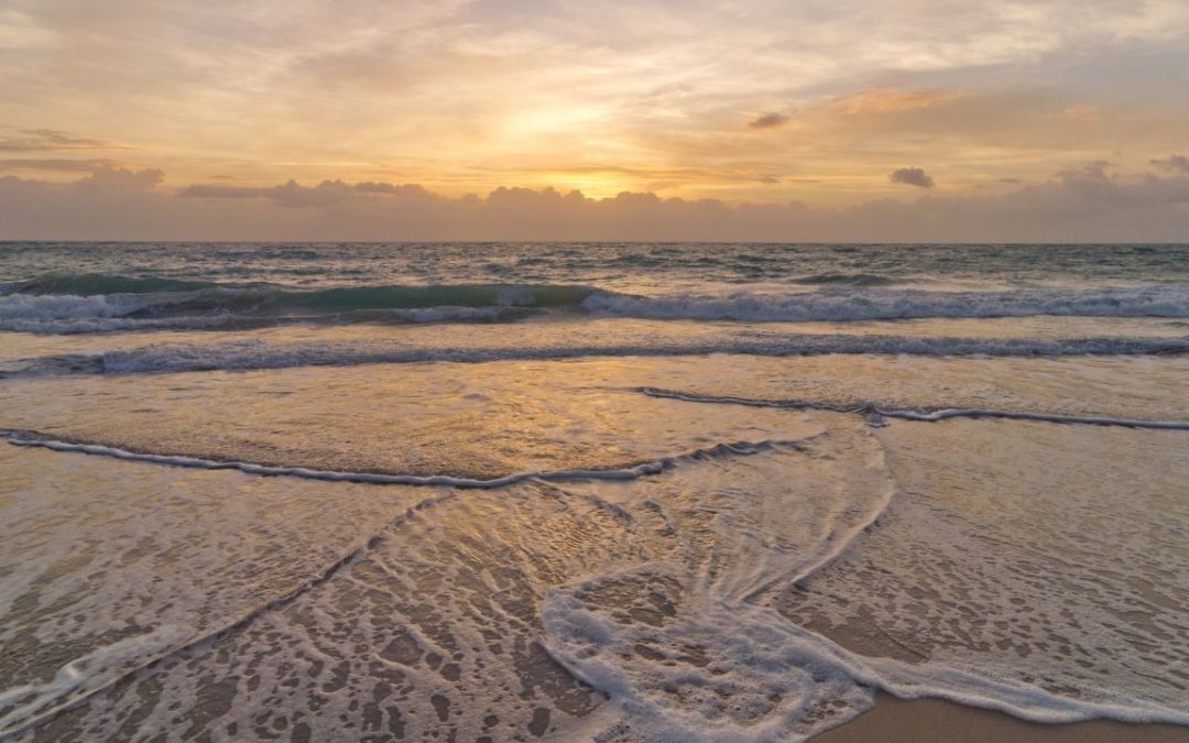 Where the Ocean Meets the Shore – Moon in Purva Ashadha September 2nd, 2025