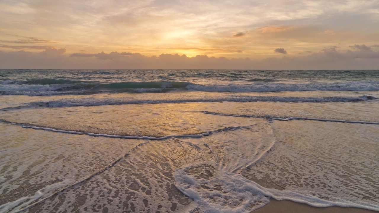 Where the Ocean Meets the Shore - Moon in Purva Ashadha September 2nd, 2025 Purva Ashadha