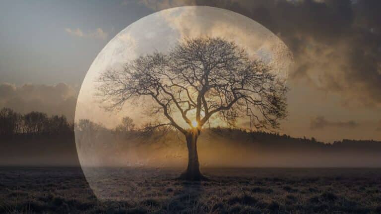 Untitled (1280 × 720 px) Image description