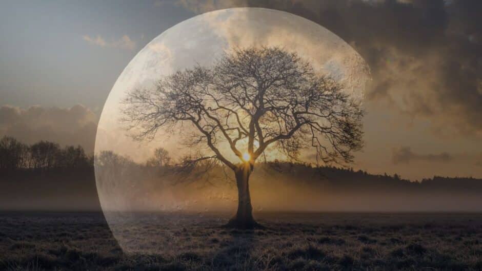 Full Moon in Punarvasu