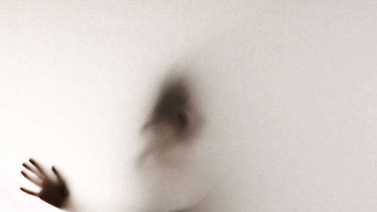 Uttara Ashadha Image description