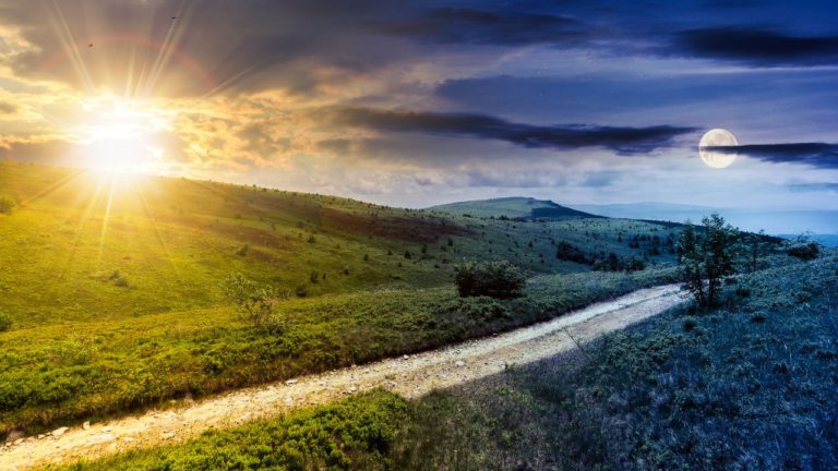 Dhanishtha Image description