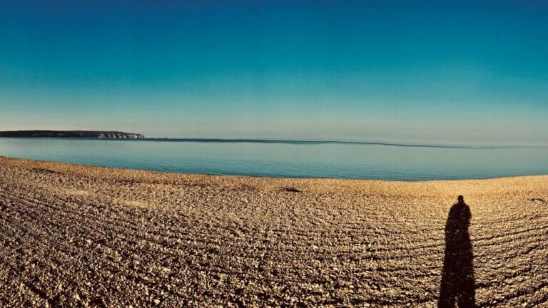 Untitled design Image description