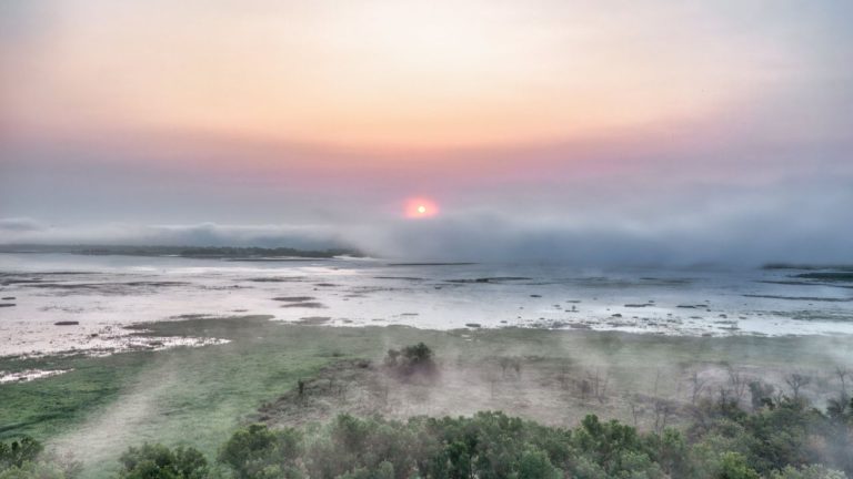 Punarvasu Image description