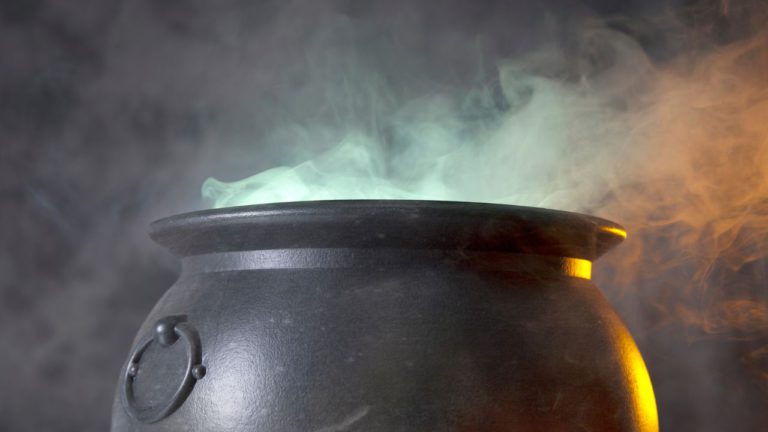 Purva Phalguni Image description