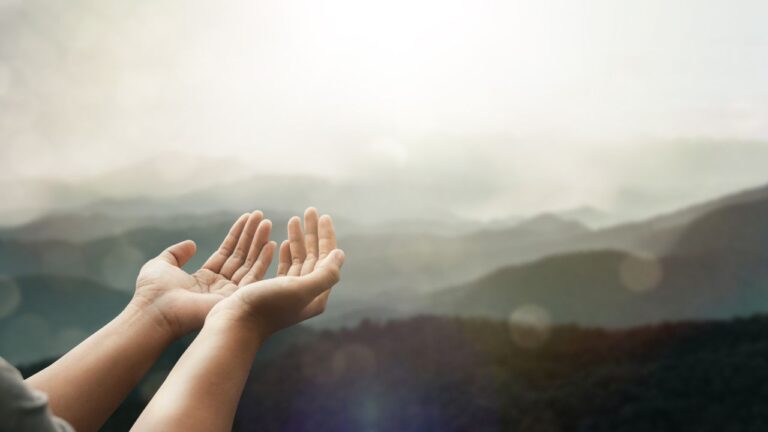 Untitled design (2) Image description