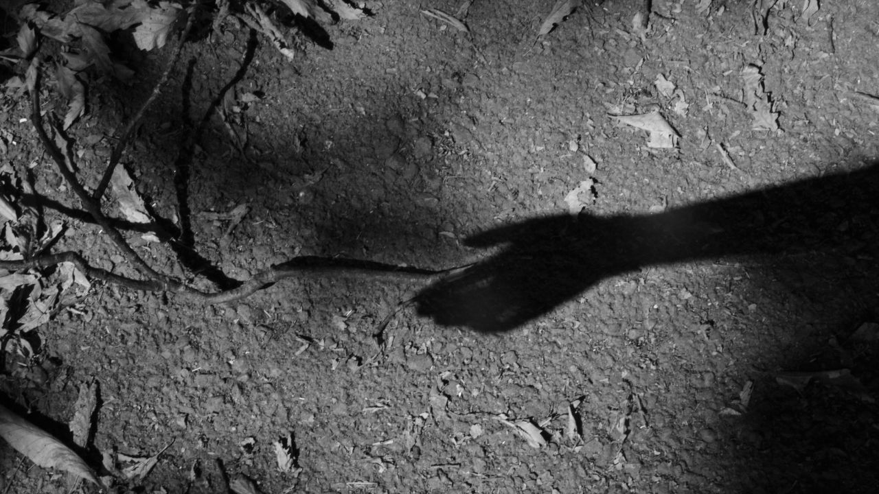 Lurk Not in the Shadows - Moon in Ardra October 12th, 2025 Ardra