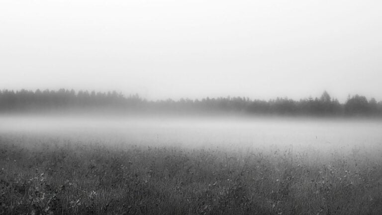 Untitled design (4) Image description