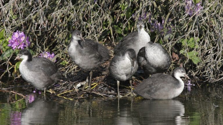 Untitled design Image description