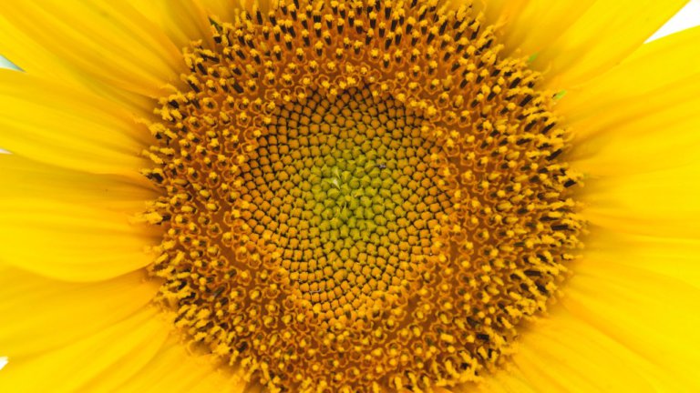 Untitled-design-56 Image description