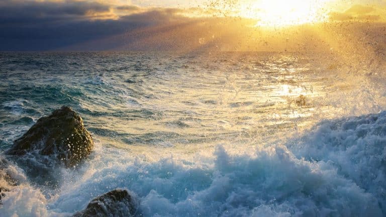 Untitled design Image description