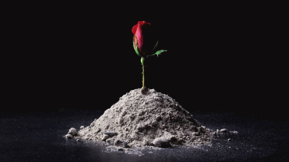 Solstice Mula Full Moon