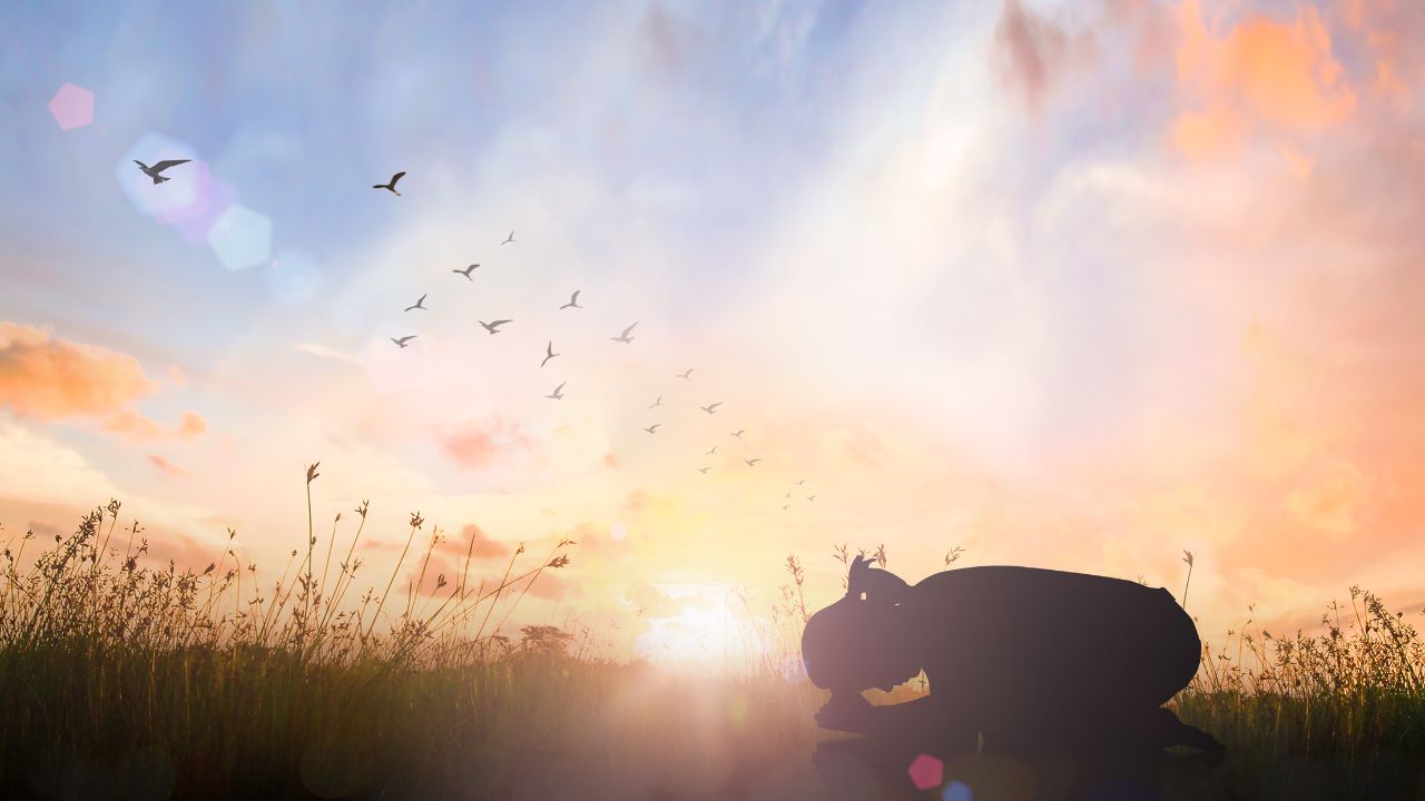 Do You Trust? - Revati Full Moon October 7th, 2025 Revati