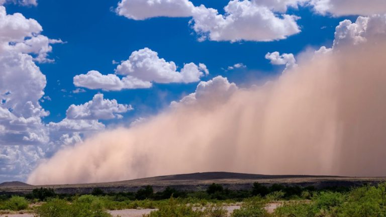 Rohini Image description