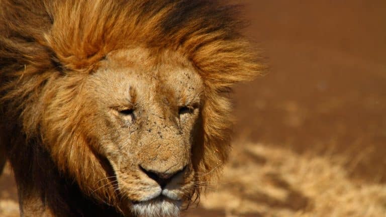 Untitled design(10) Image description