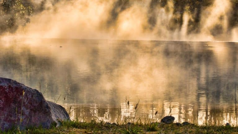 Untitled design(11) Image description