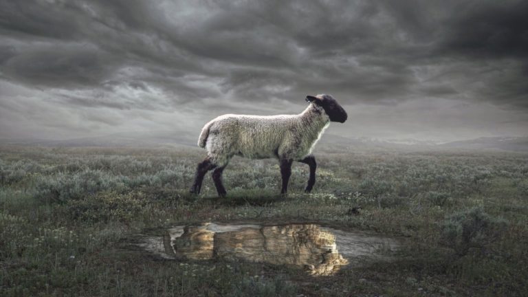 Purva Phalguni Image description