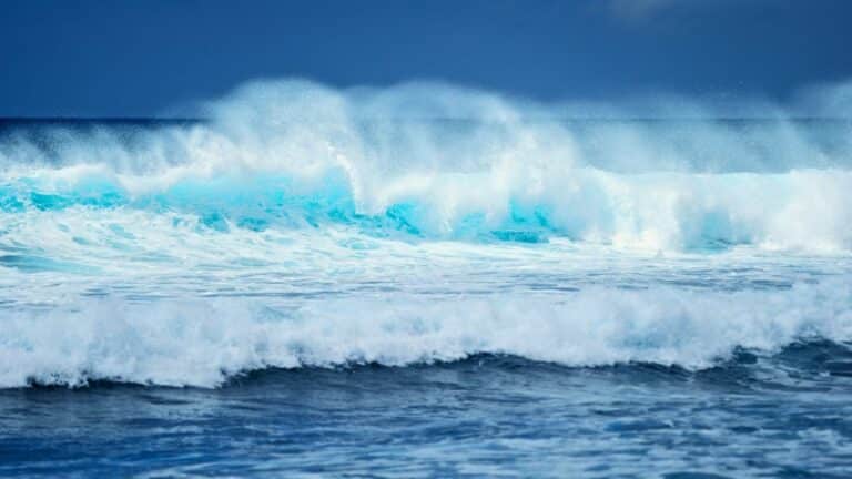 Untitled design(13) Image description