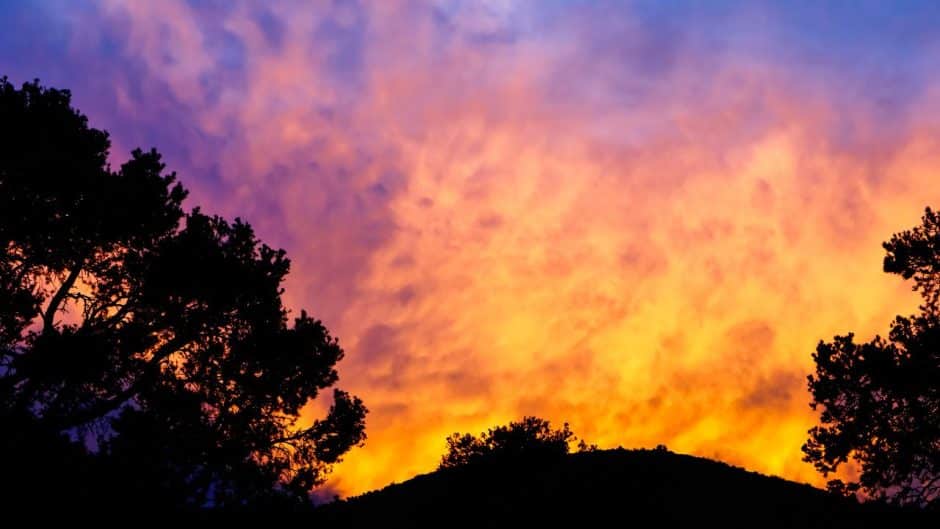 Full Moon in Dhanishtha