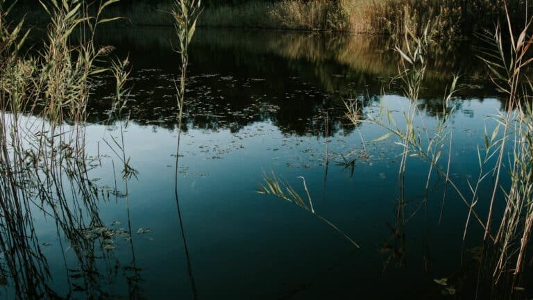 Untitled design(17) Image description