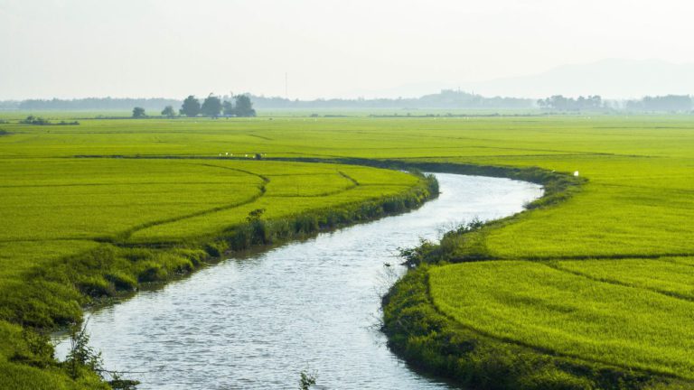 Swati Image description