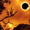 Revati Solar Eclipse March 29th, 2025 - The Spark Within Revati Solar Eclipse