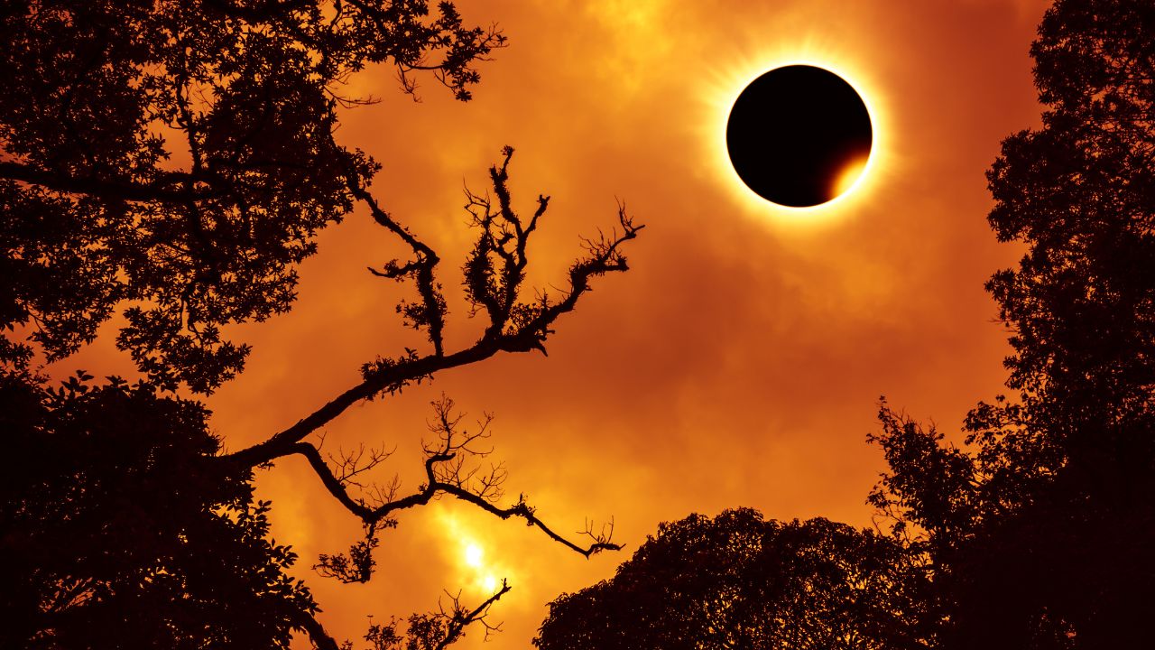 Revati Solar Eclipse March 29th, 2025 - The Spark Within Revati Solar Eclipse