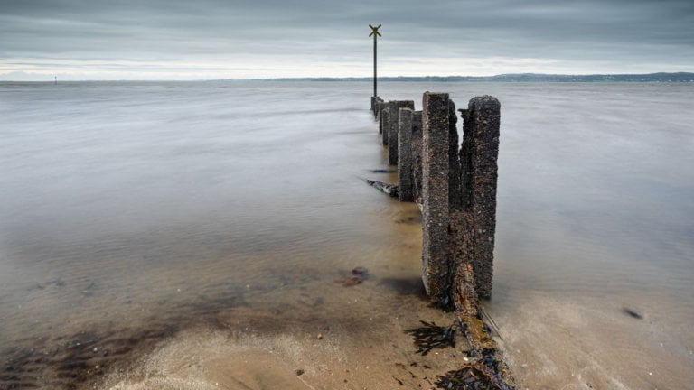 Untitled design(17) Image description