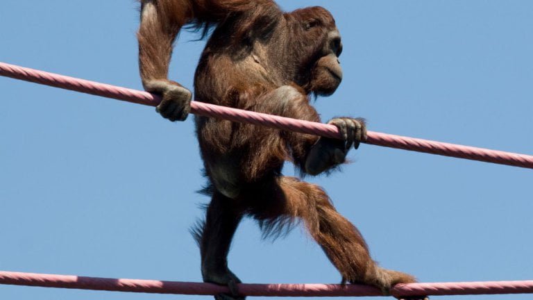 Untitled design(18) Image description