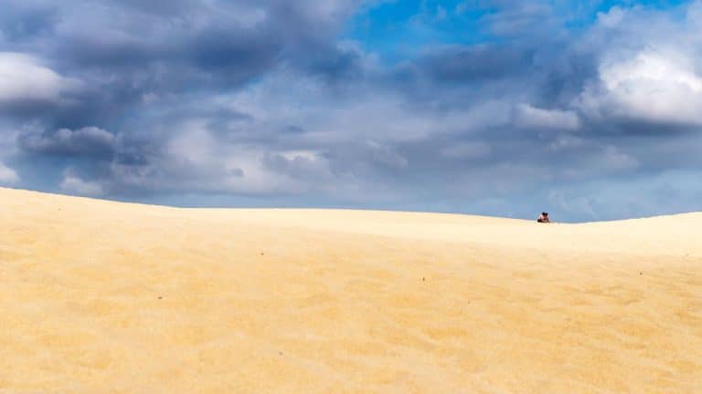 Untitled design(18) Image description