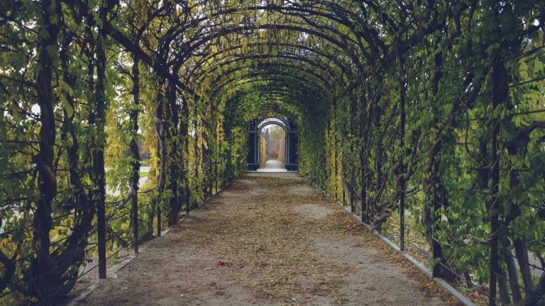 Untitled design(19) Image description