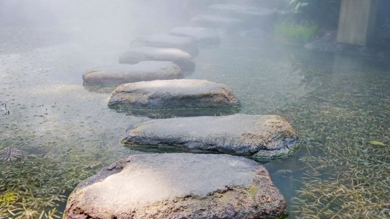 Moon in Purva Phalguni