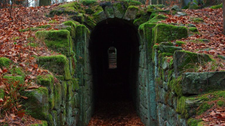 Ashlesha Image description