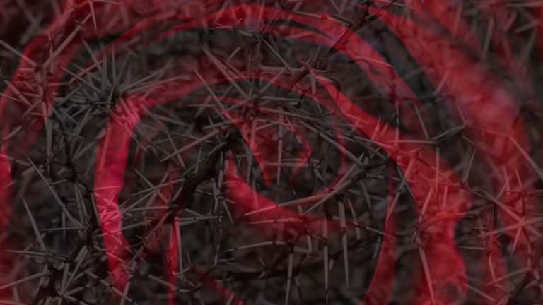 Ashlesha Image description