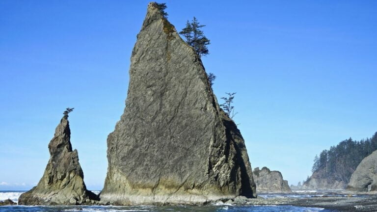 Untitled design(2) Image description