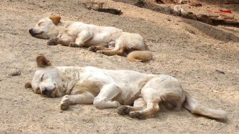 Untitled design(20) Image description