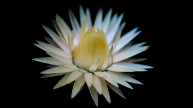 Untitled design(21) Image description