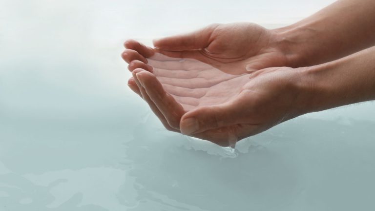 Hasta Image description